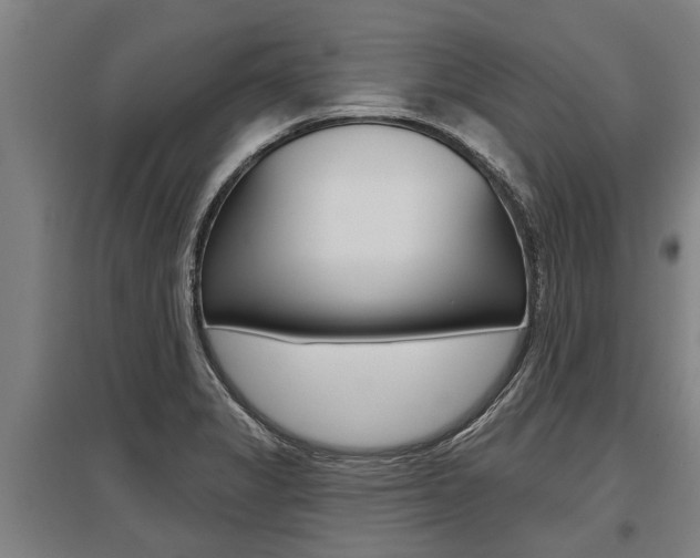 X0000096131325200801180820