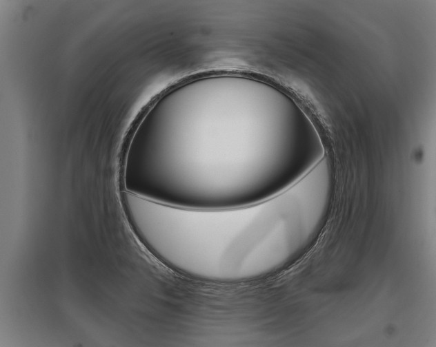 X0000096131326200801180820