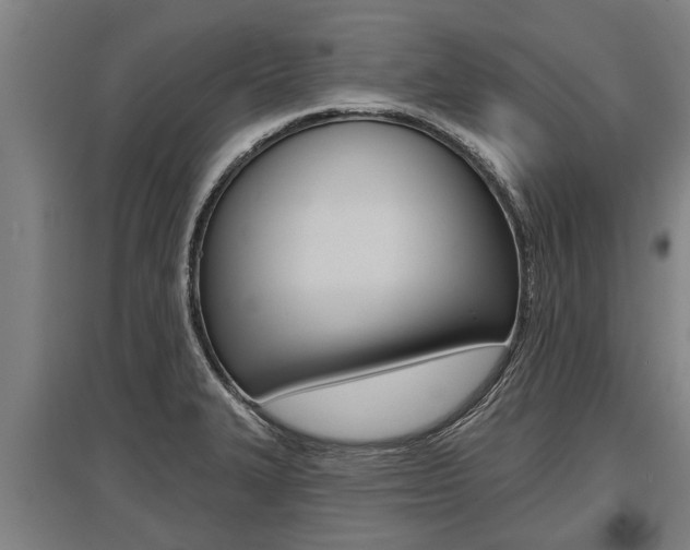 X0000096131327200801180820