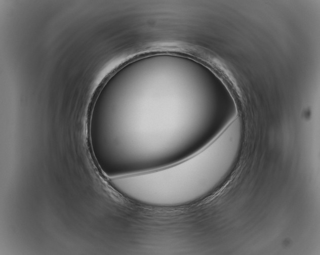 X0000096131328200801180820