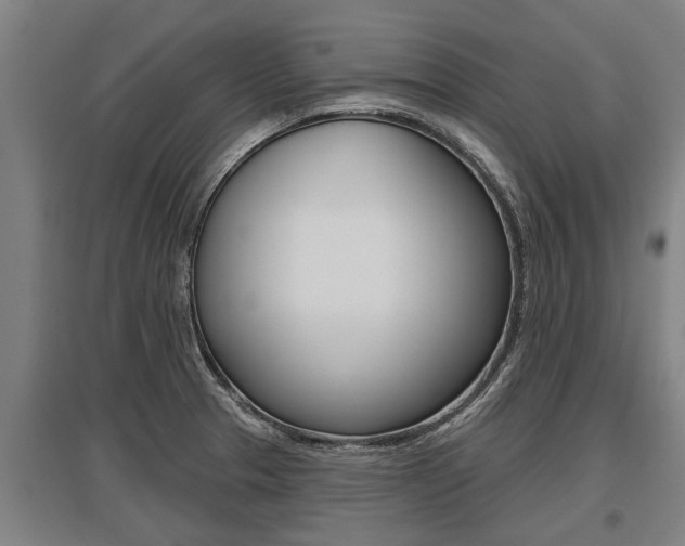 X0000096131329200801180820