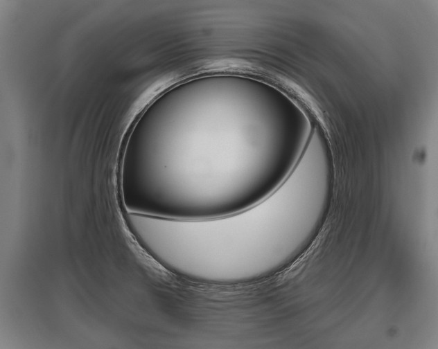 X0000096131330200801180820