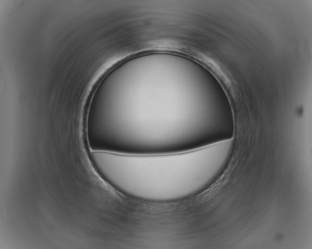 X0000096131331200801180820