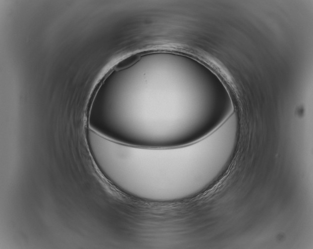 X0000096131332200801180820