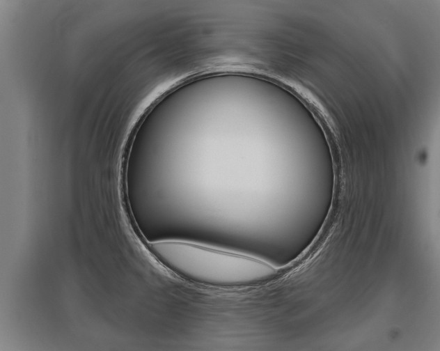 X0000096131333200801180820