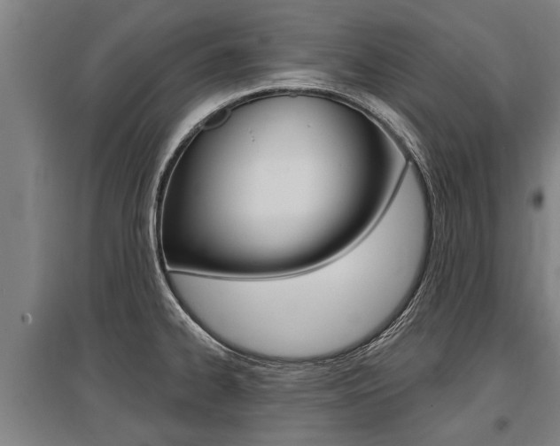X0000096131334200801180820