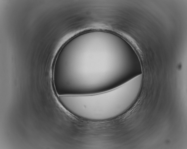 X0000096131335200801180820