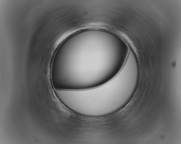 X0000096131336200801180820