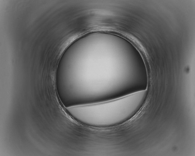 X0000096131337200801180820