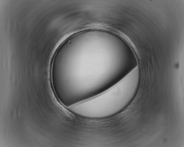 X0000096131339200801180821
