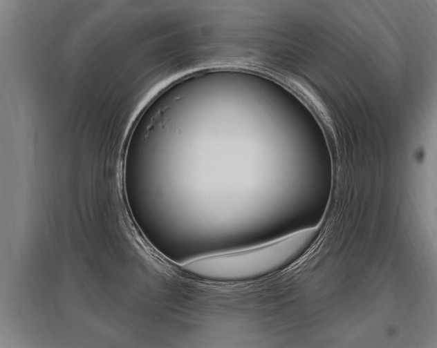 X0000096131340200801180821