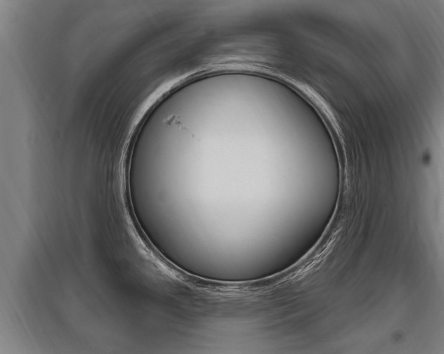 X0000096131341200801180821