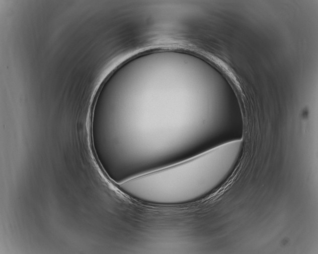 X0000096131343200801180821