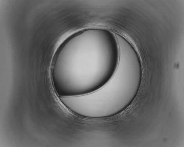 X0000096131344200801180821