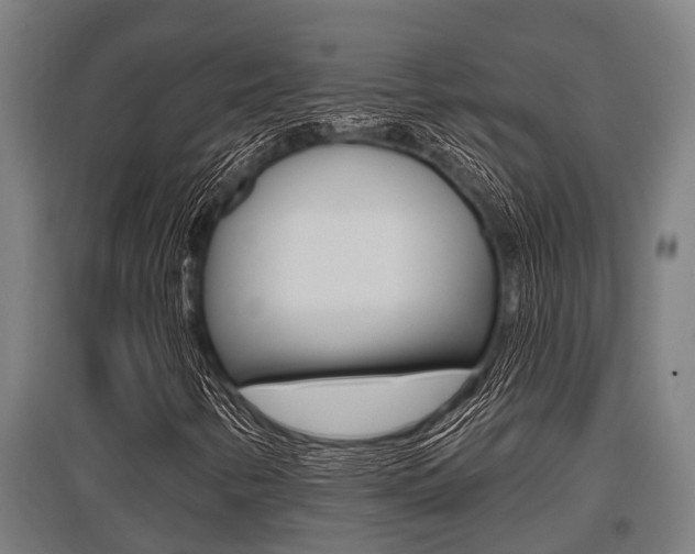 X0000096131346200801180820