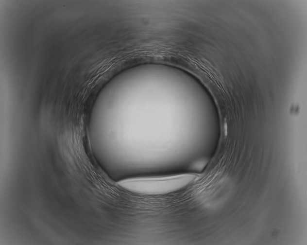 X0000096131347200801180820
