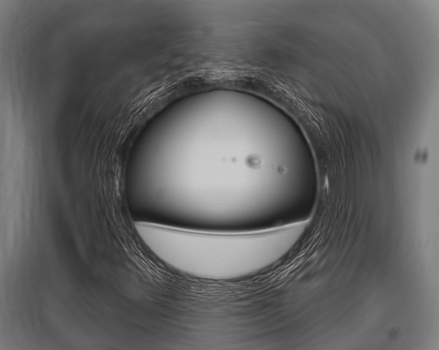 X0000096131348200801180820