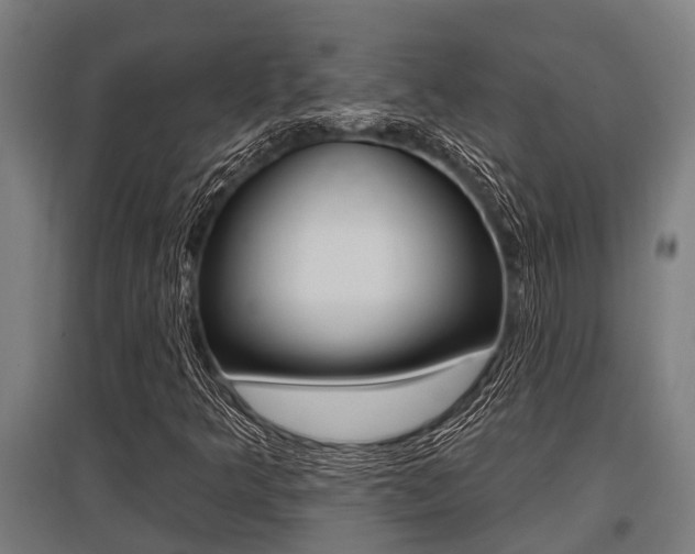 X0000096131349200801180820