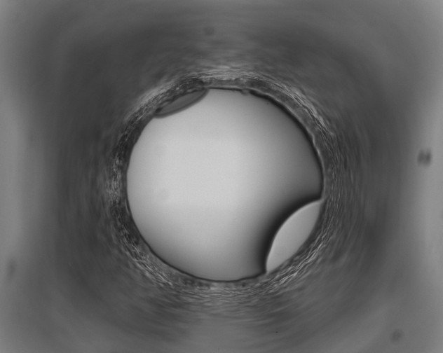 X0000096131350200801180820