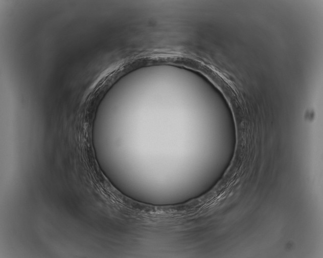X0000096131351200801180820