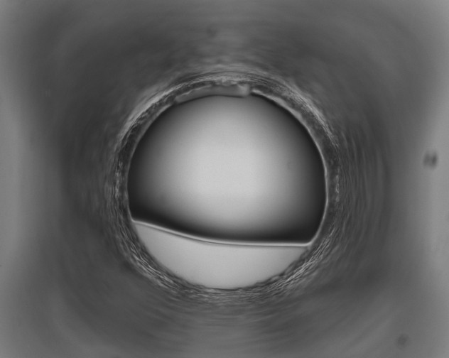 X0000096131352200801180820
