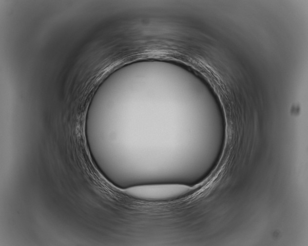 X0000096131353200801180820