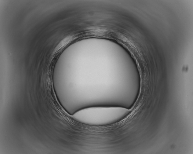 X0000096131354200801180820