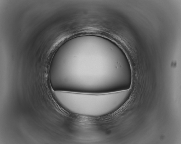 X0000096131355200801180820