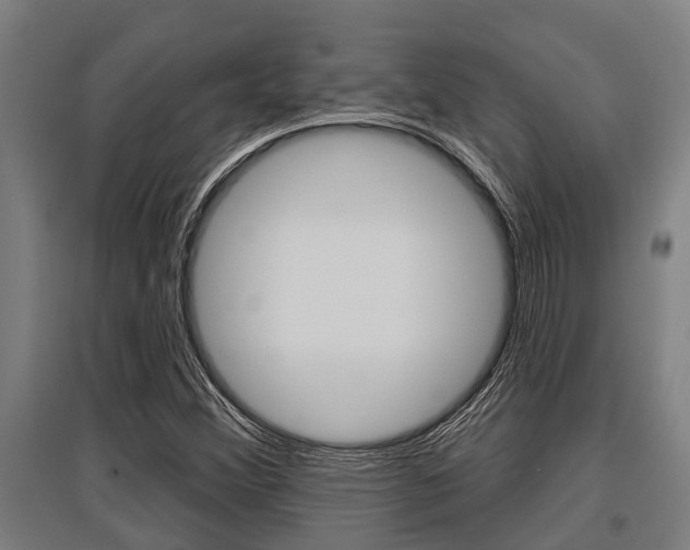 X0000096131356200801180820
