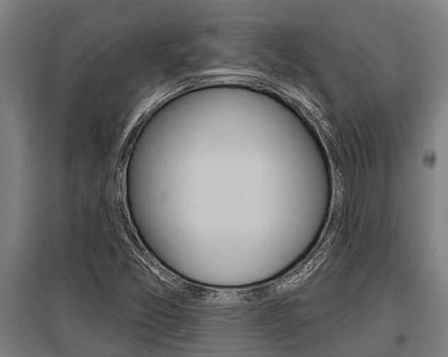 X0000096131357200801180820