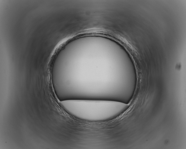 X0000096131358200801180820