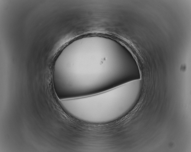 X0000096131359200801180820