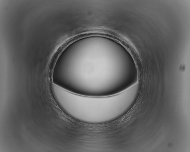X0000096131360200801180820