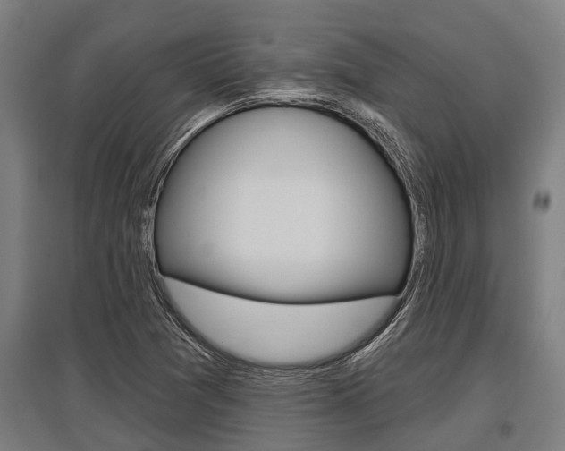 X0000096131361200801180820