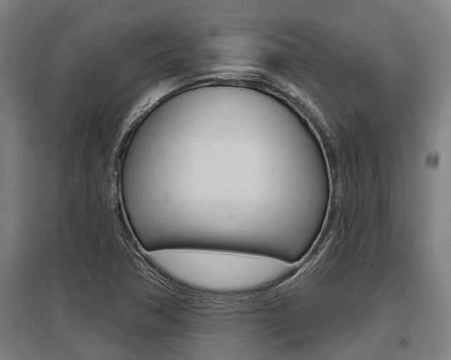 X0000096131362200801180820
