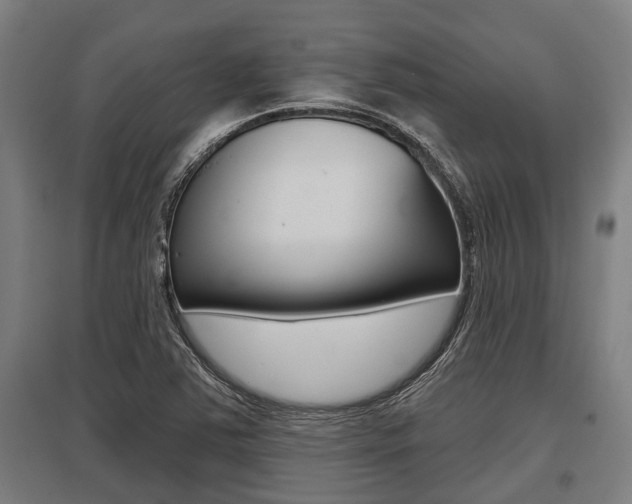X0000096131363200801180820