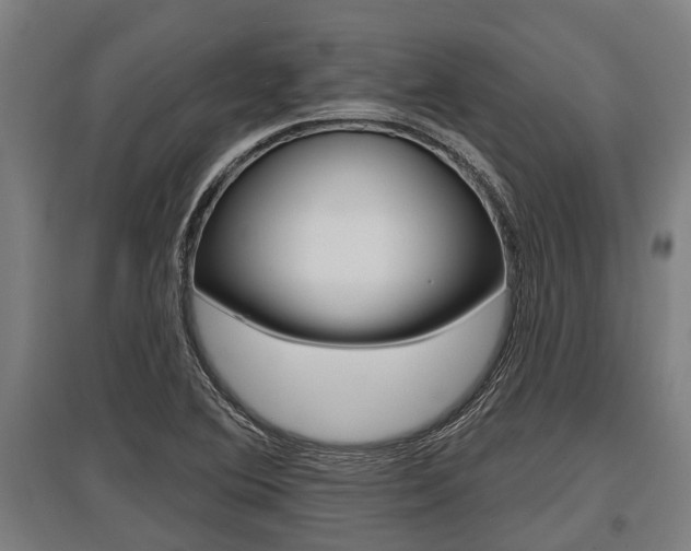X0000096131364200801180820