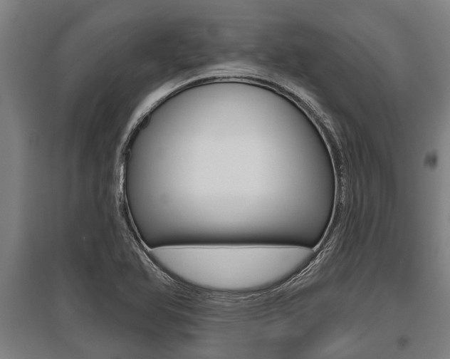 X0000096131366200801180820