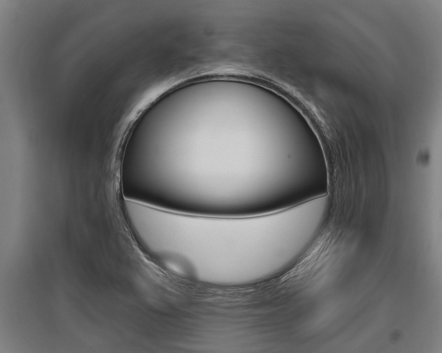 X0000096131367200801180820