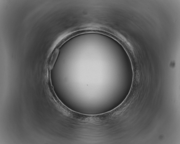 X0000096131368200801180820