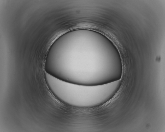X0000096131369200801180820