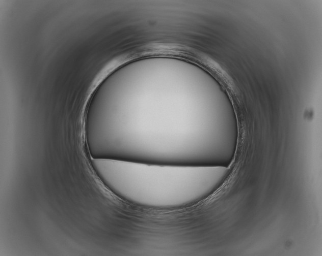 X0000096131370200801180820