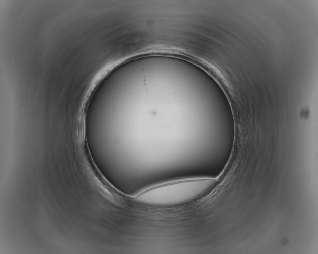 X0000096131371200801180820