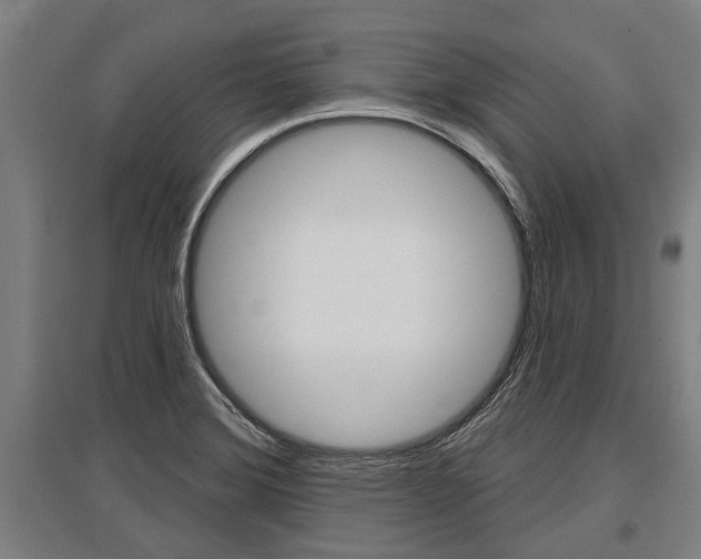 X0000096131372200801180820