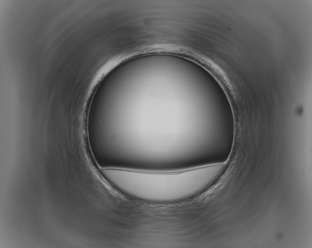 X0000096131373200801180820