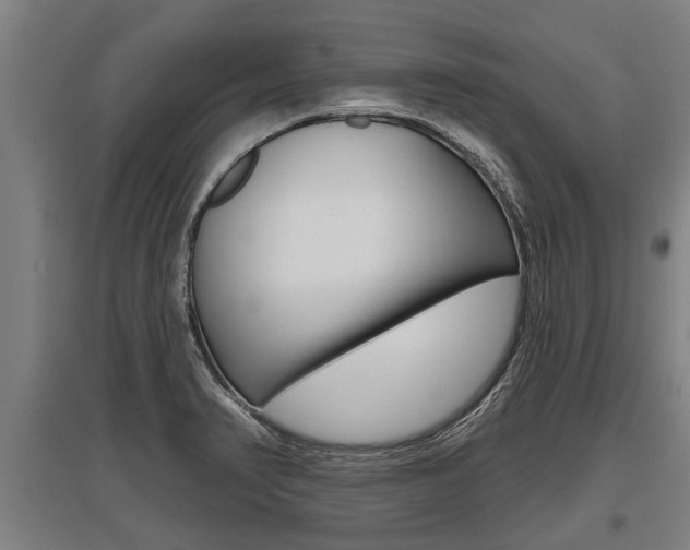 X0000096131374200801180820
