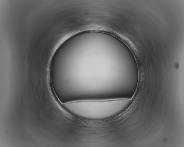 X0000096131375200801180820