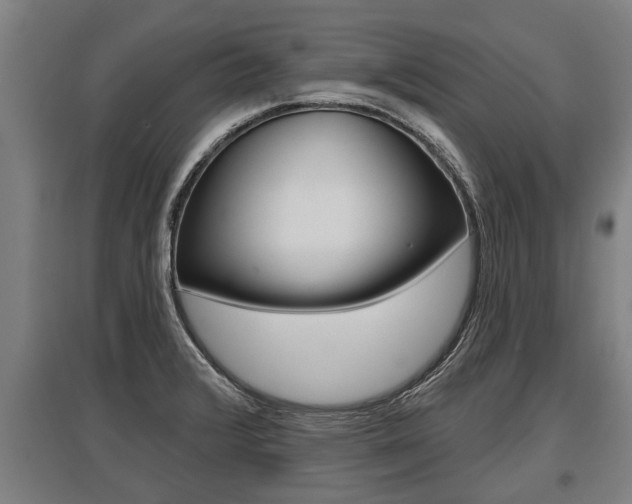 X0000096131376200801180820