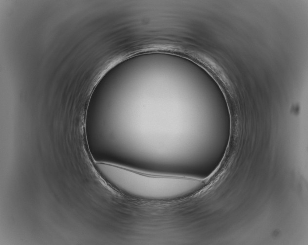 X0000096131377200801180819