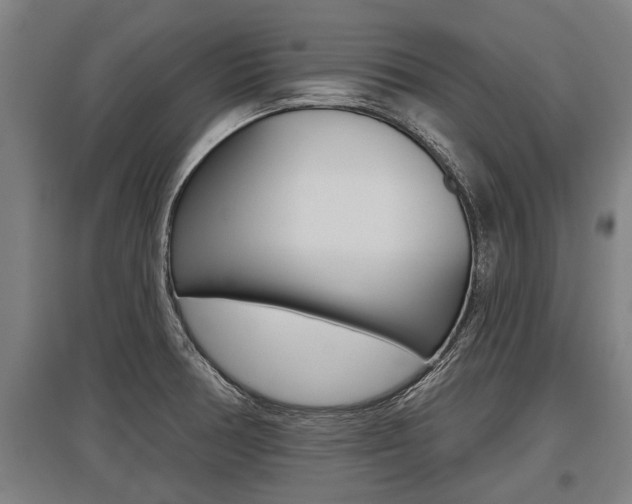 X0000096131378200801180819